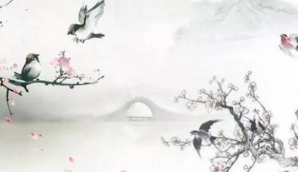 唐诗赏析之酬乐天咏老见示，该诗的作者想表达什么隐喻？