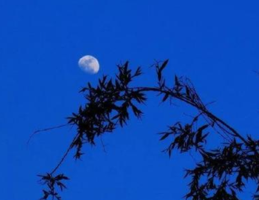 元代马致远《落梅风·人初静》原文、译文及赏析