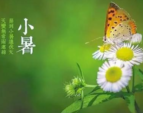 唐代元稹《咏廿四气诗·小暑六月节》原文，注释及译文