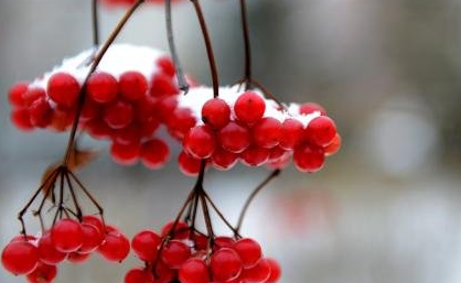 1614219175525352.png image.png