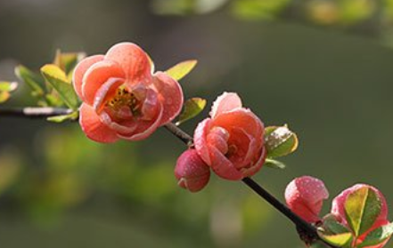 1614737303222930.png image.png