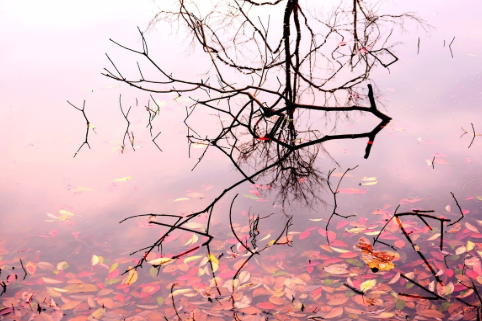 1623401337116031.png image.png