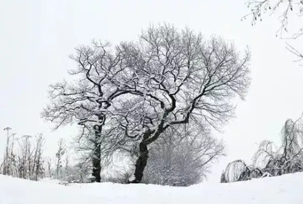 中唐诗人戎昱《霁雪 / 韩舍人书窗残雪》原文、译文及翻译