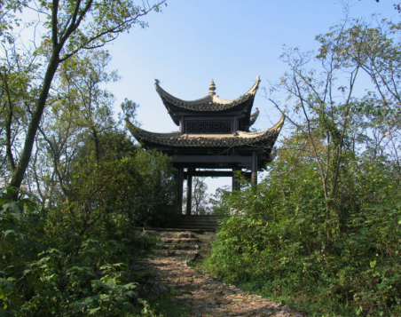 古诗词鉴赏之：张祜《和杜牧之齐山登高》