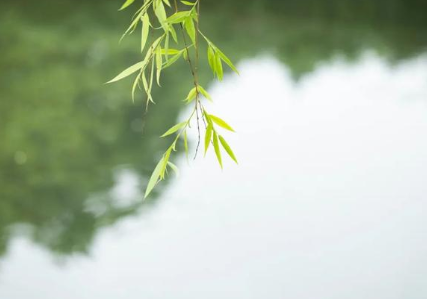 1630478542637781.png image.png