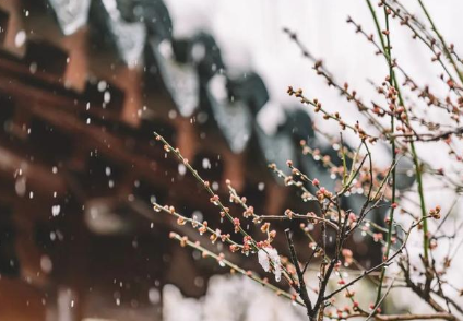 《立春日晨起对积雪》张九龄所作，描写雪后立春的景象