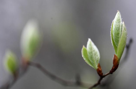 盘点三首关于雨水时节的诗作，蕴含什么特殊含义？