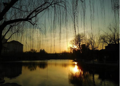 1631506029370824.png image.png