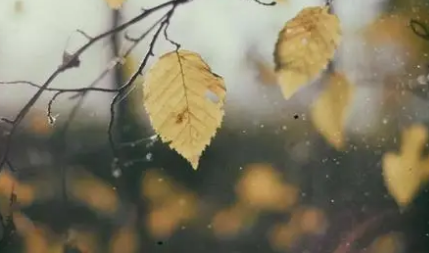 阎选《河传·秋雨》：这是一首写女子秋雨闺怨的词