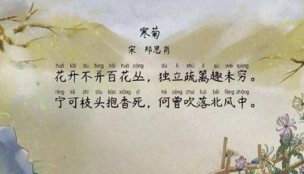 1640241365553555.png image.png